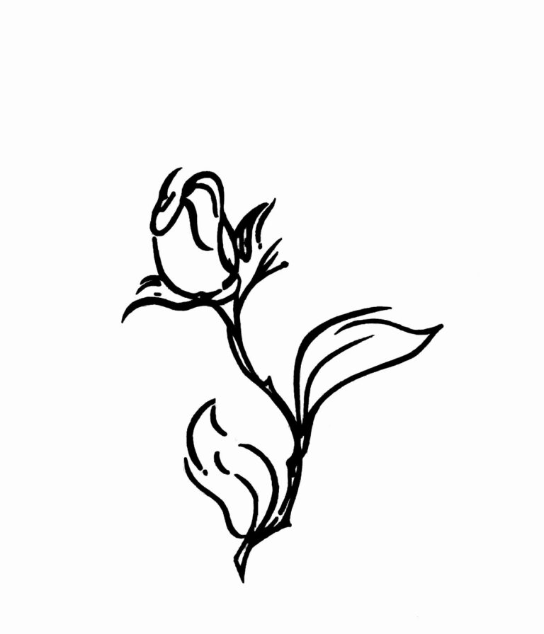 Wild Rose Cloggers logo 1 768x896